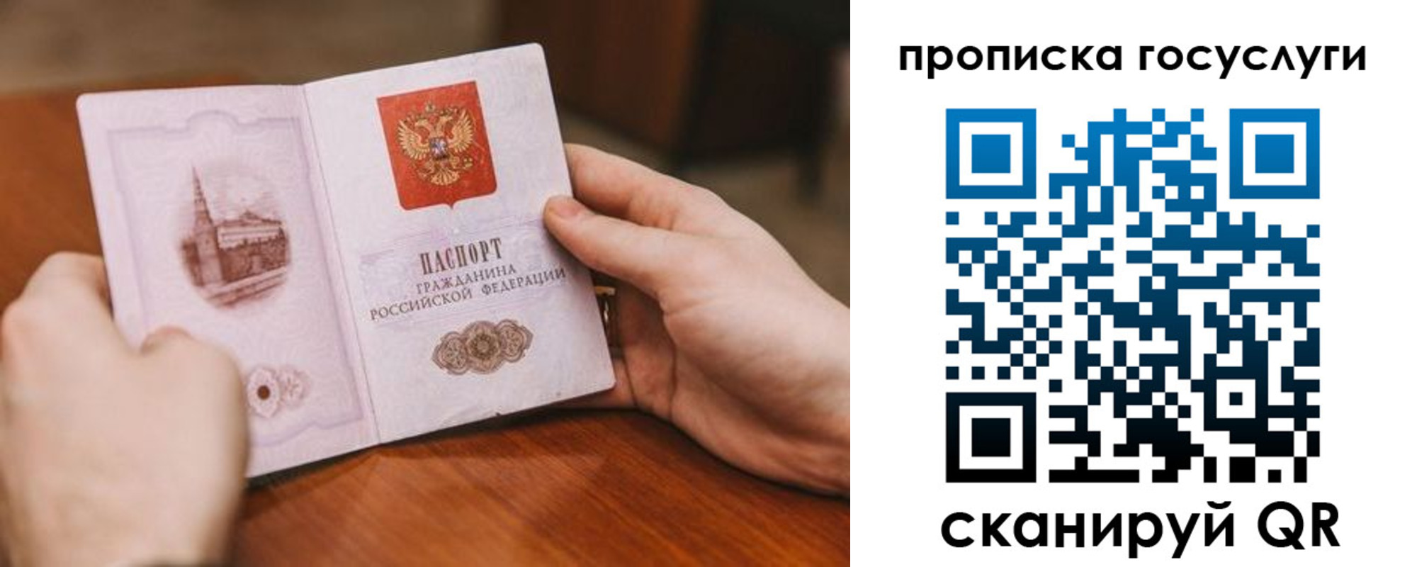 прописка в квартире в Новосибирске